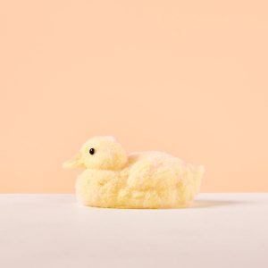 Flocked Duck Taba Squishy