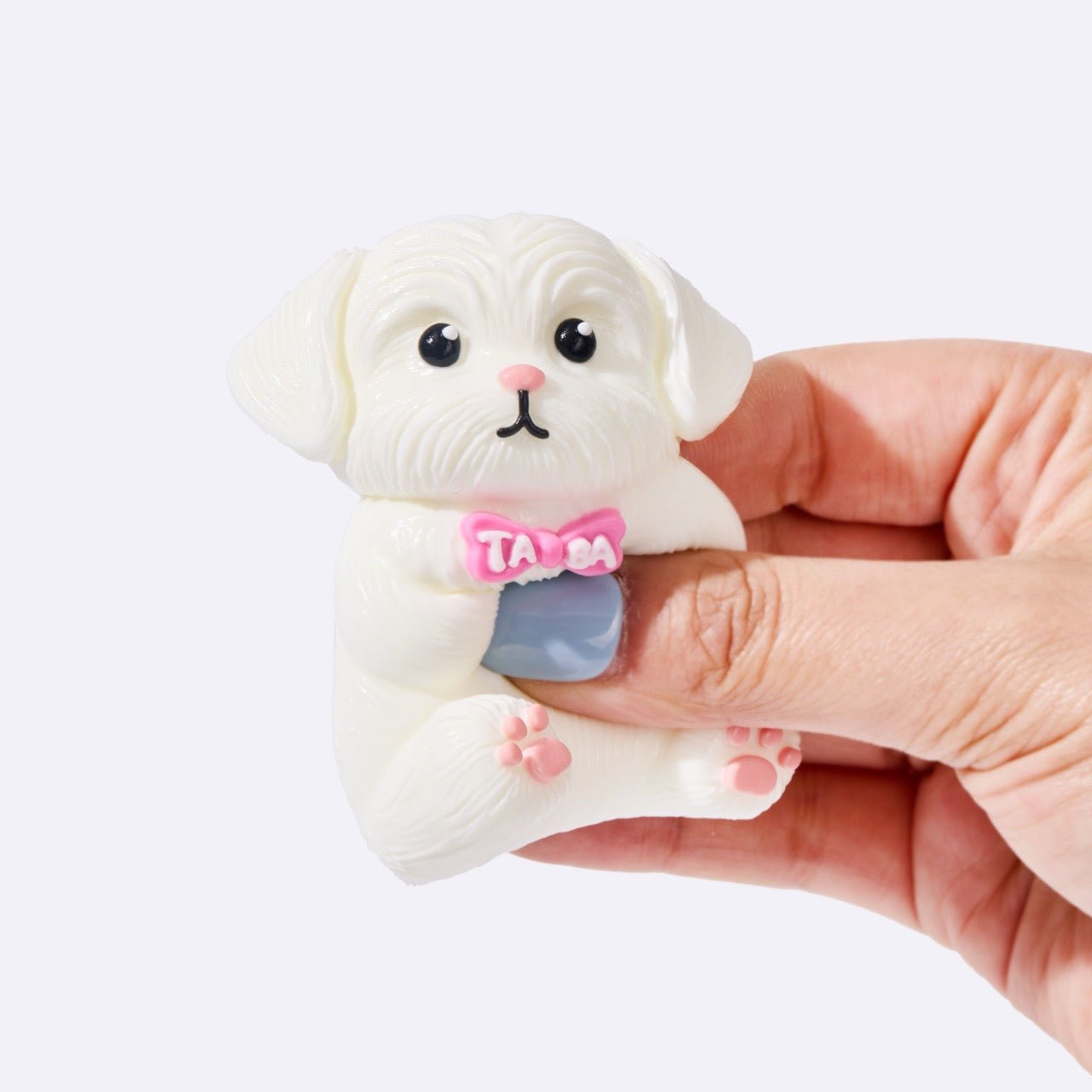 White Maltese - Image 3