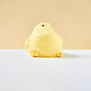 Chick Taba Squishy
