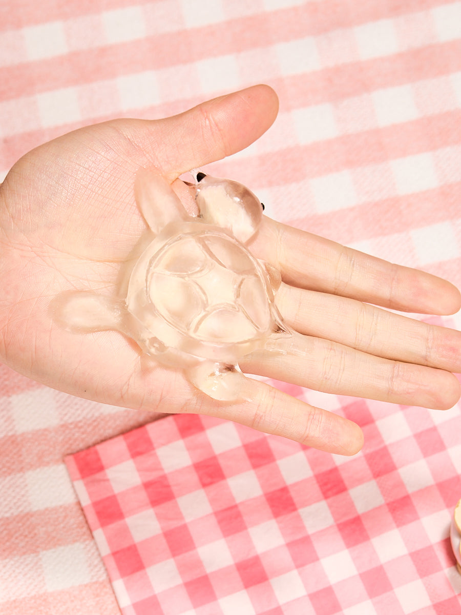 Transparent Turtle Taba Squishy - Image 2