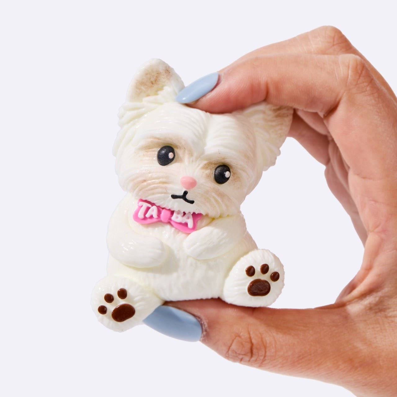 White Yorkshire Terrier - Image 2