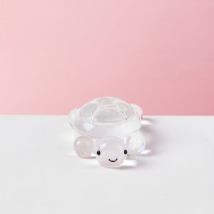 Transparent Turtle Taba Squishy