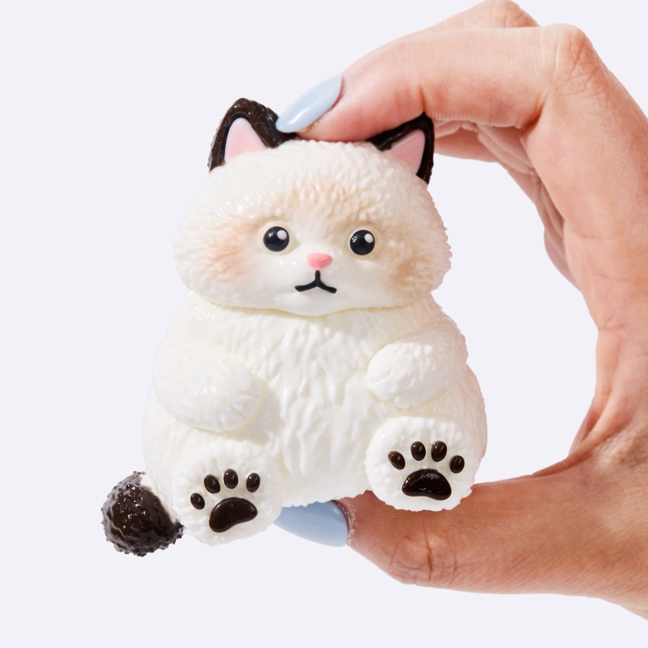 Chubby White Ragdoll Cat - Image 4