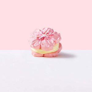 Sakura Sandwich Cookie Taba Squishy