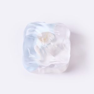 Nested Sea Shell Ice Cube Taba Squishy