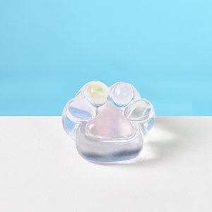 Transparent-light-colorful Paw Taba Squishy