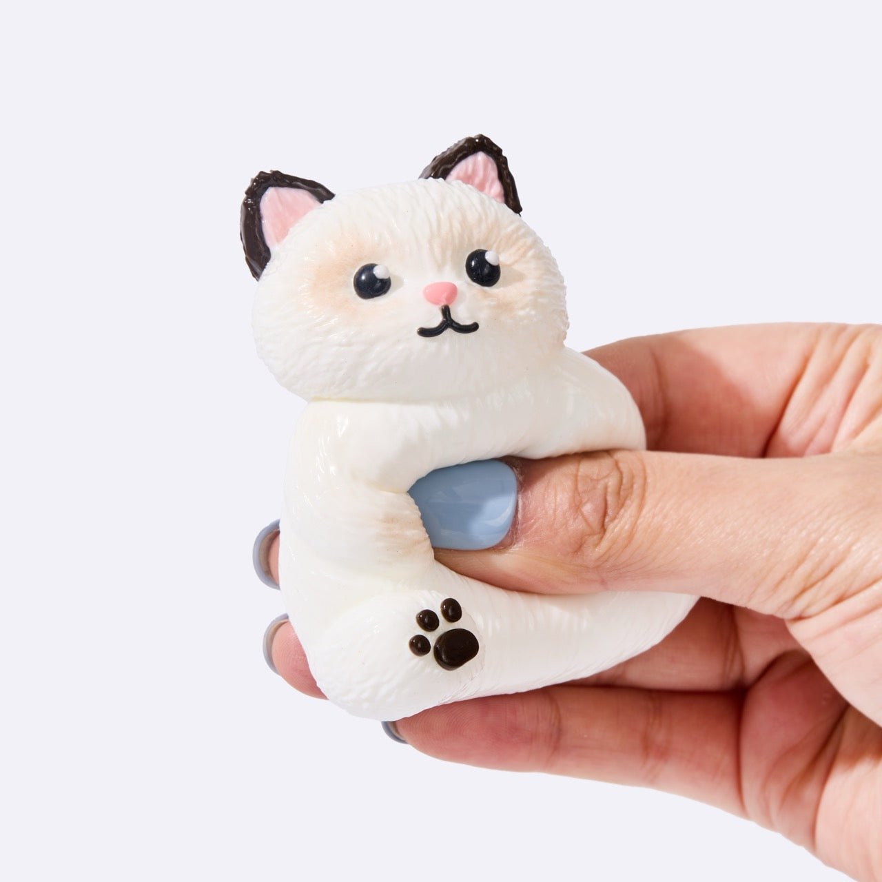 White Siamese Cat - Image 3