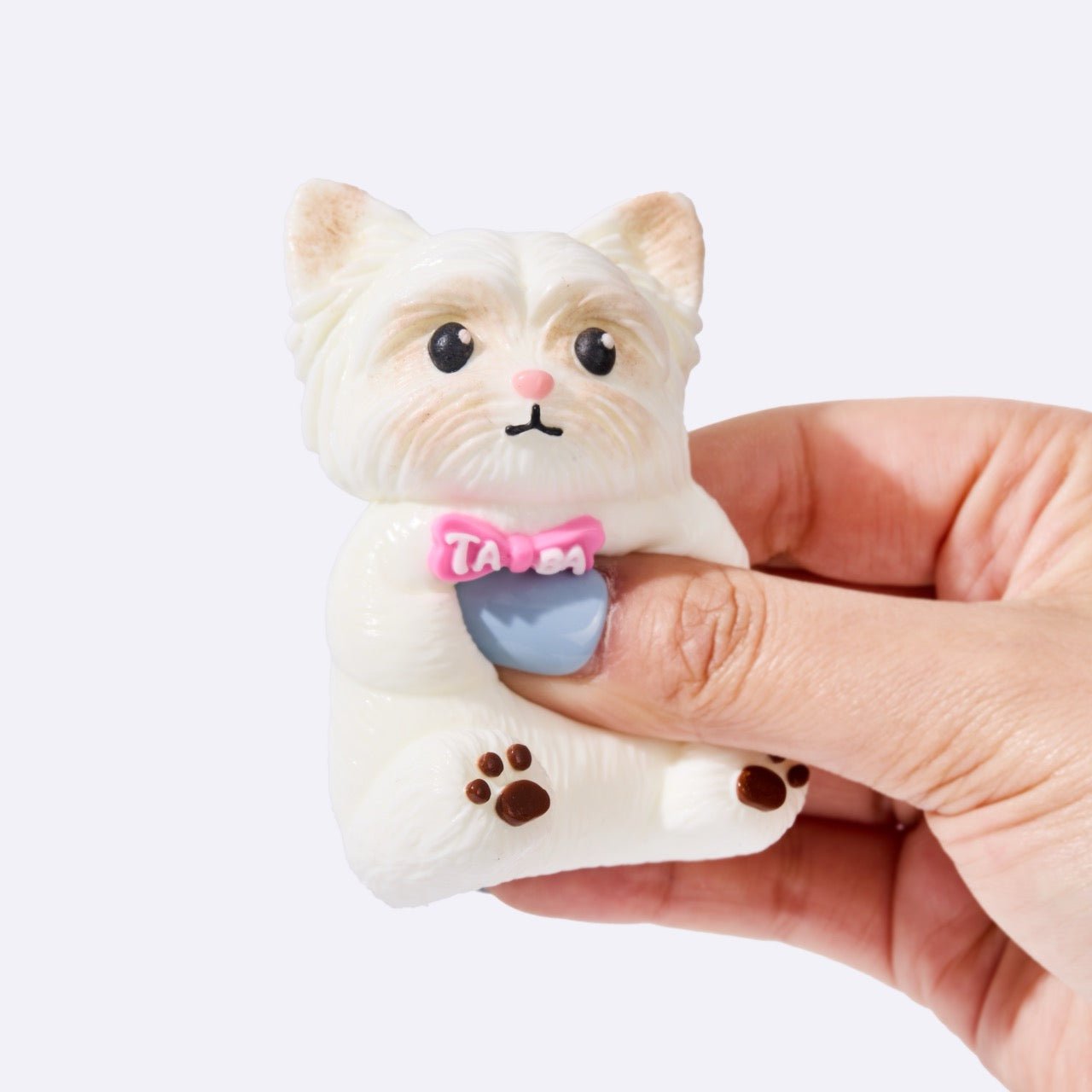 White Yorkshire Terrier - Image 4