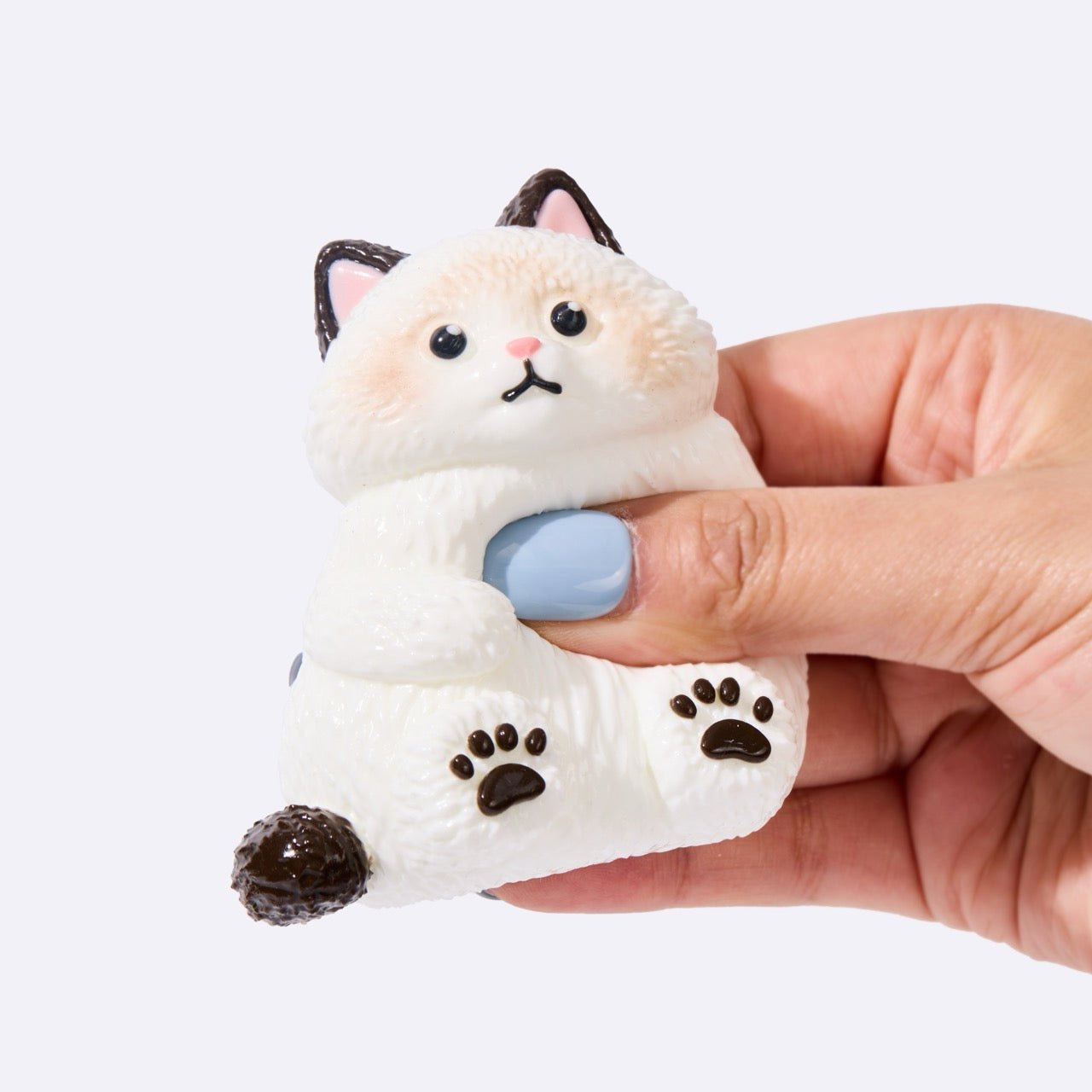 Chubby White Ragdoll Cat - Image 3