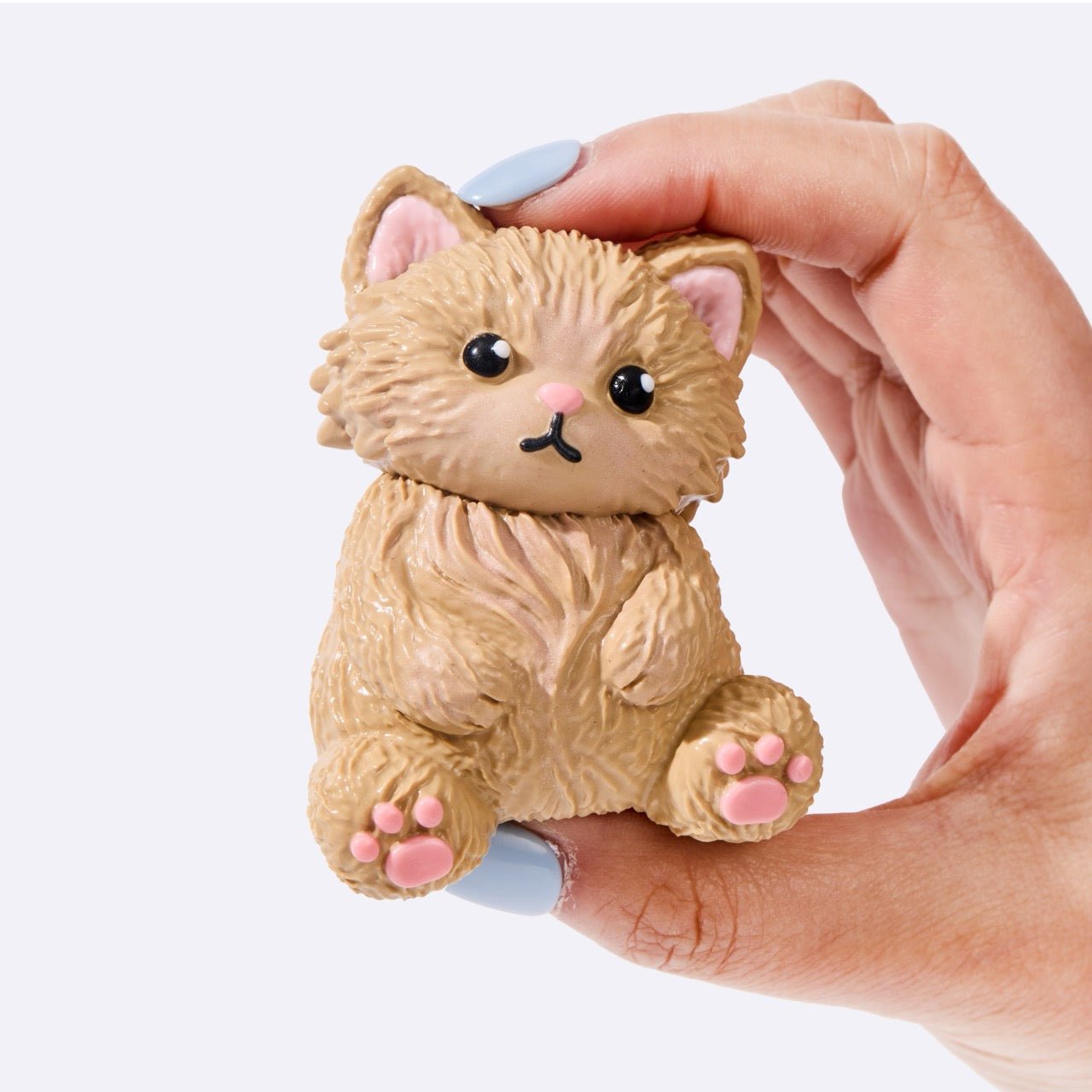 Khaki Siamese Cat - Image 4