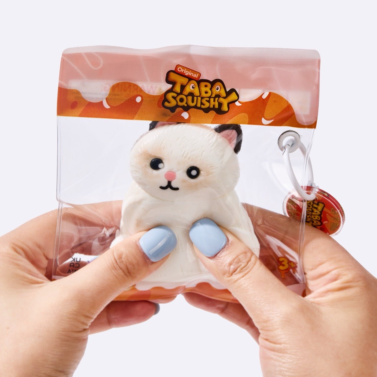 White Siamese Cat - Image 5