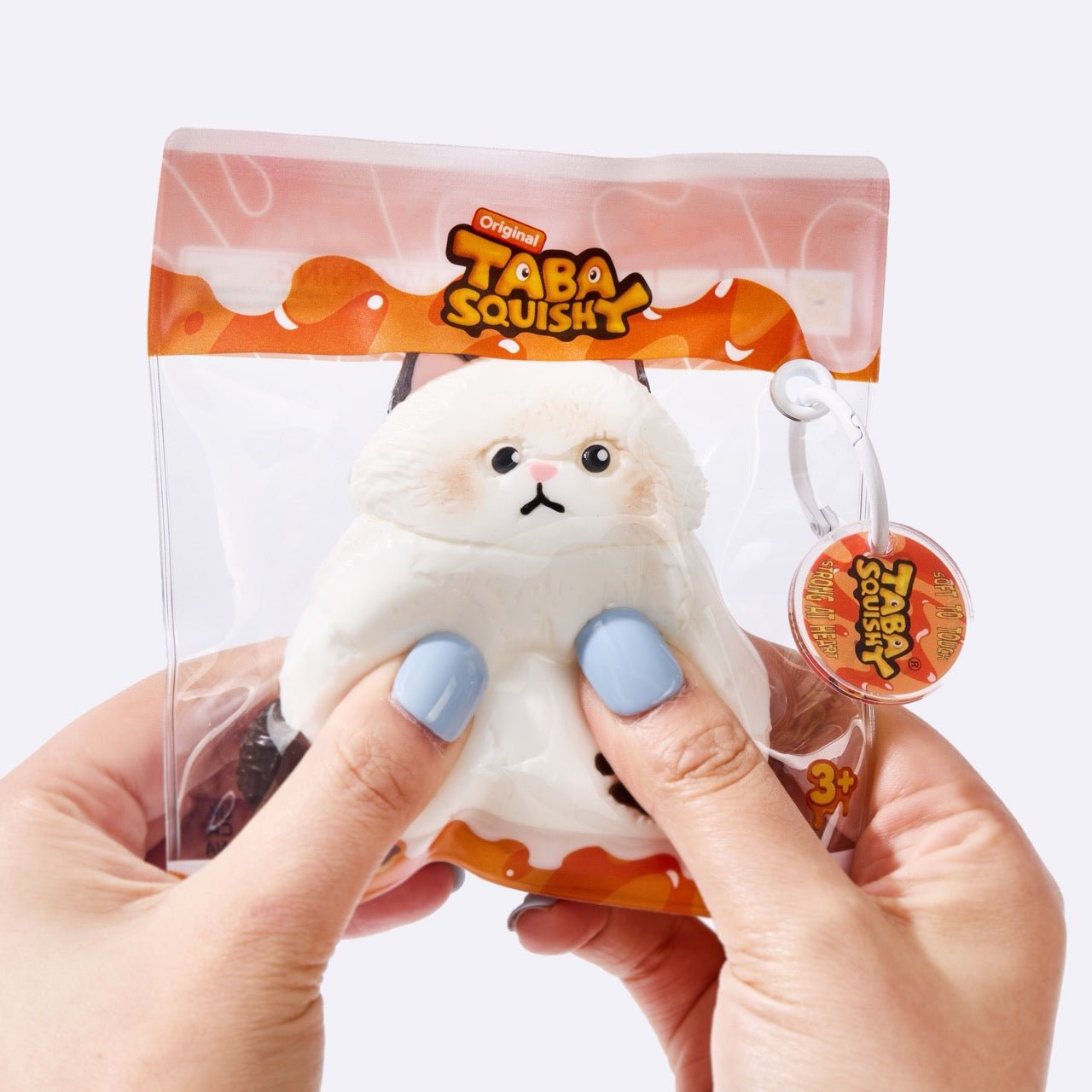 Chubby White Ragdoll Cat - Image 5