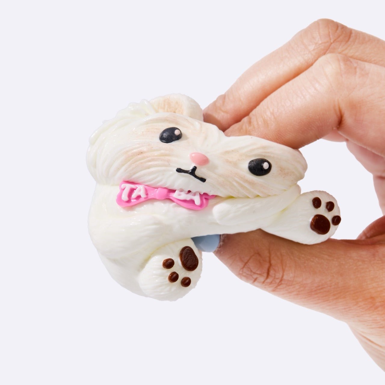 White Yorkshire Terrier - Image 3
