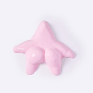 Pink Starfish Taba Squishy - Water Like