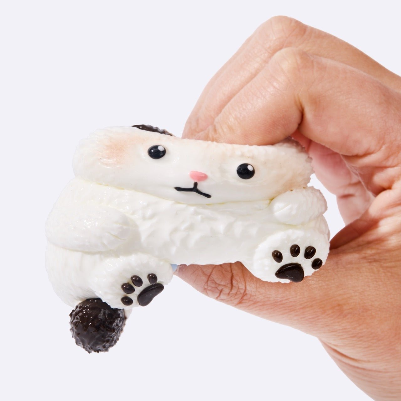 Chubby White Ragdoll Cat - Image 2
