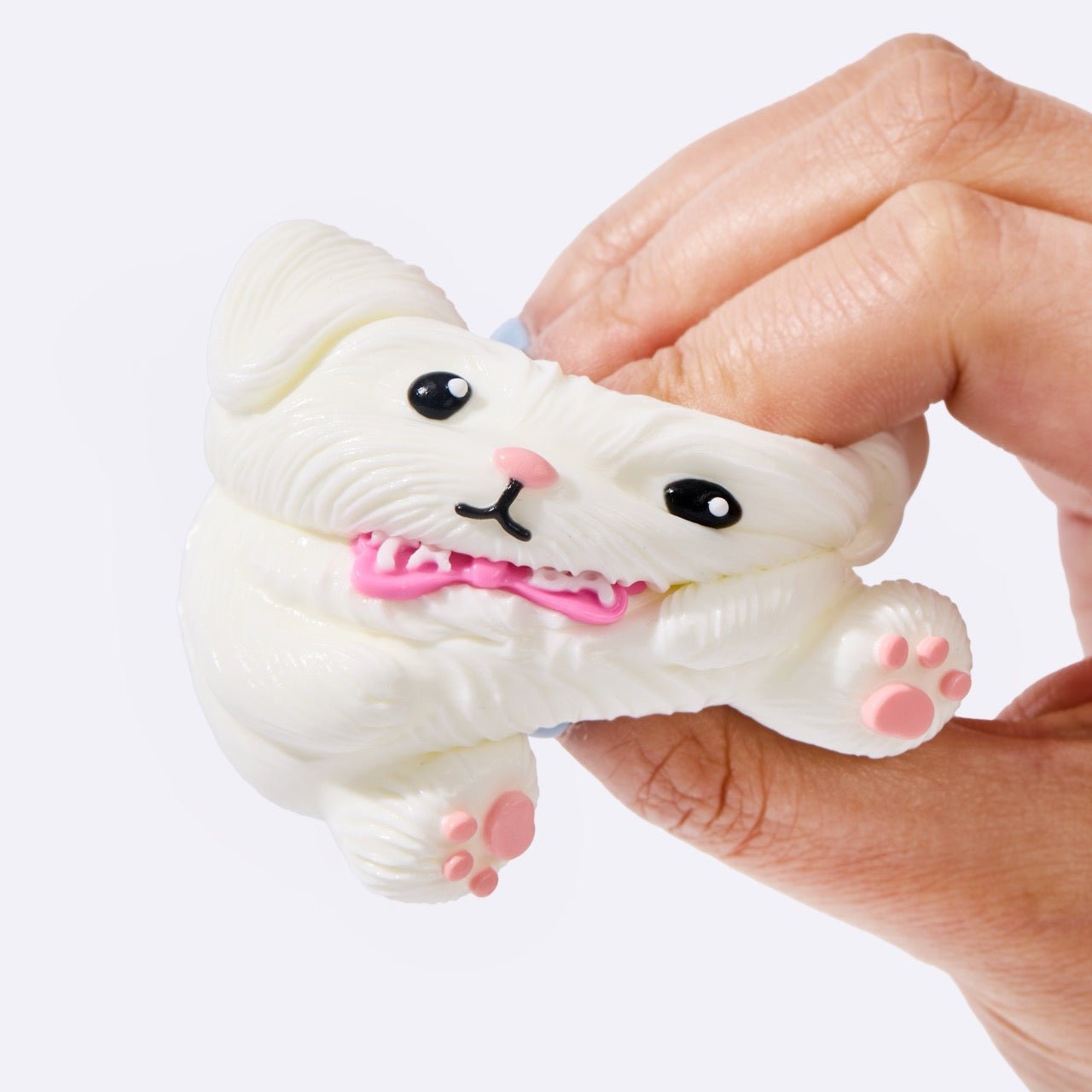 White Maltese - Image 2