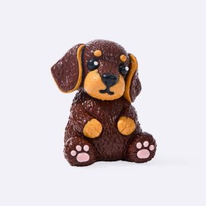 Dachshund