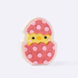 Hatching Chicks