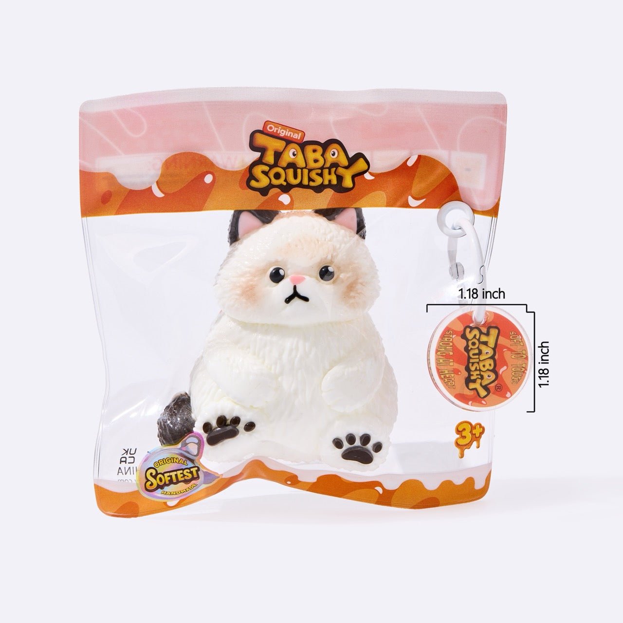 Chubby White Ragdoll Cat - Image 6
