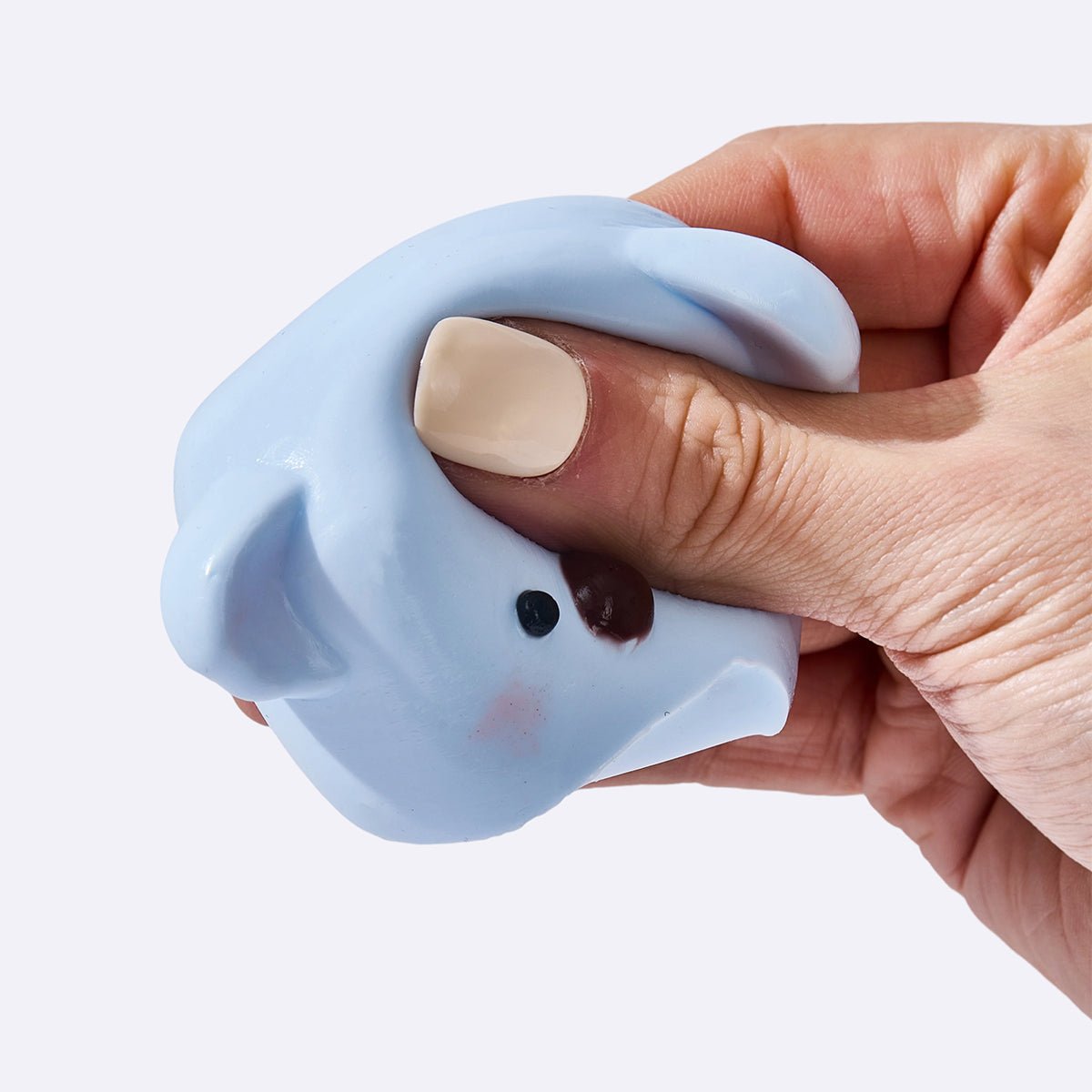 Blue Koala Cube - Image 2