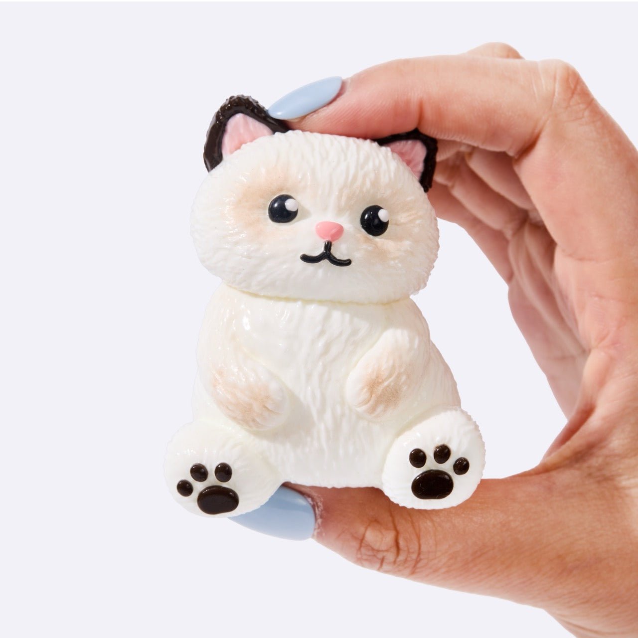 White Siamese Cat - Image 4